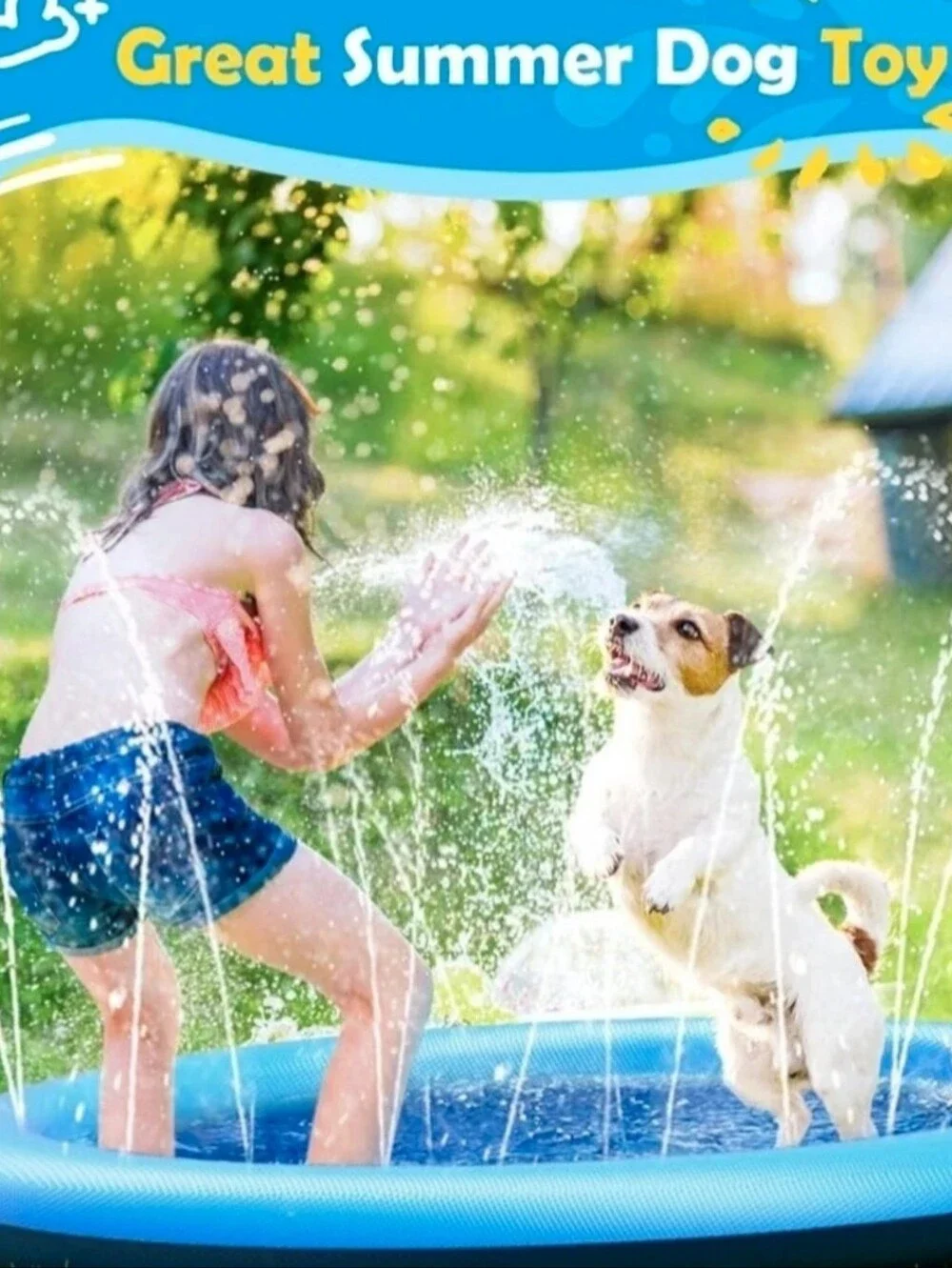🐶 51